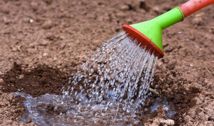 Agua hirviendo