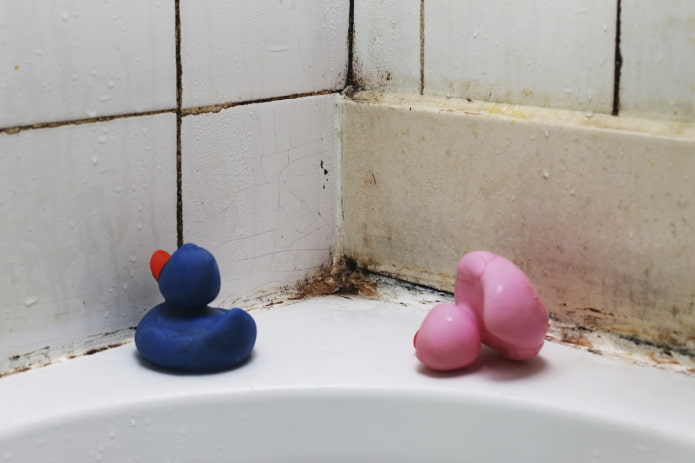 ¿Cómo eliminar el moho del baño?
