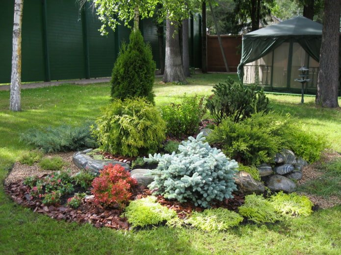 jardín de rocas con coníferas y flores