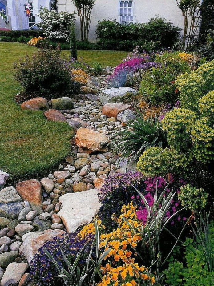 arroyo seco con flores