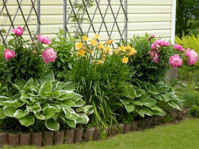 Macizo de flores con peonías