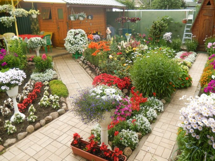 Jardín en la parcela