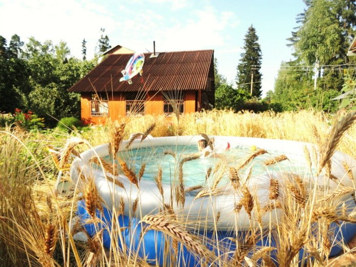 Estanque en el campo