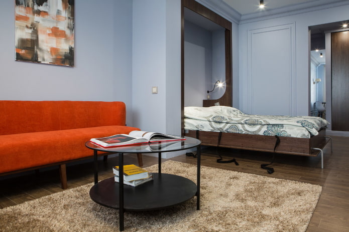 Sala de estar con un sofá y una cama transformadora