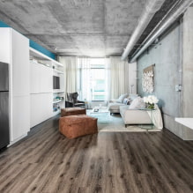 ¿Cómo diseñar una cocina-salón en un ¿Estilo loft? - 2