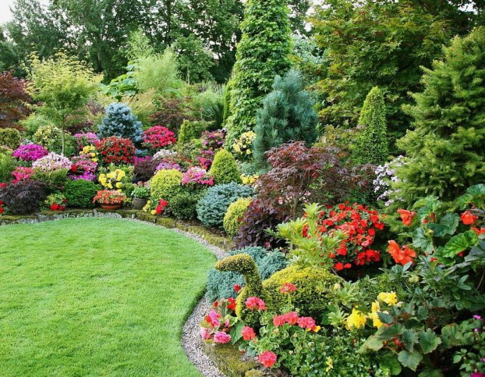 Grupo de plantas multicolor