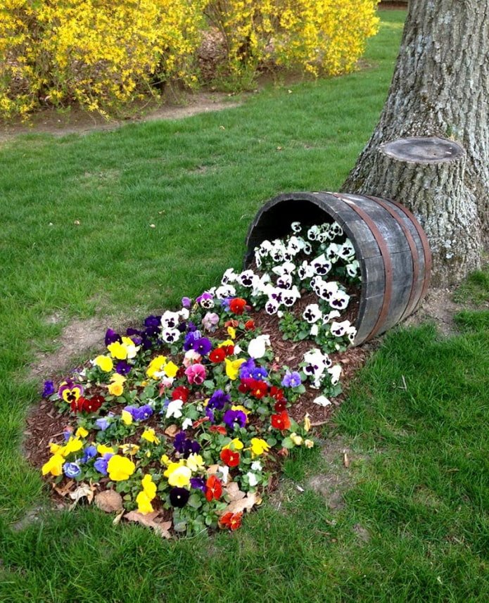 parterre inusual en el sitio