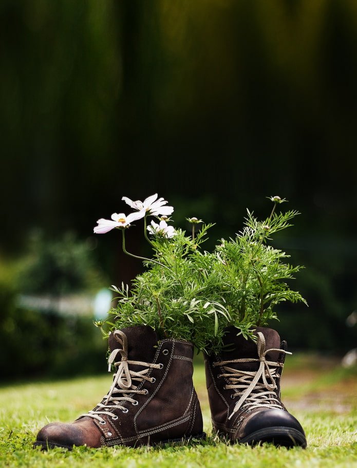 Flores en botas