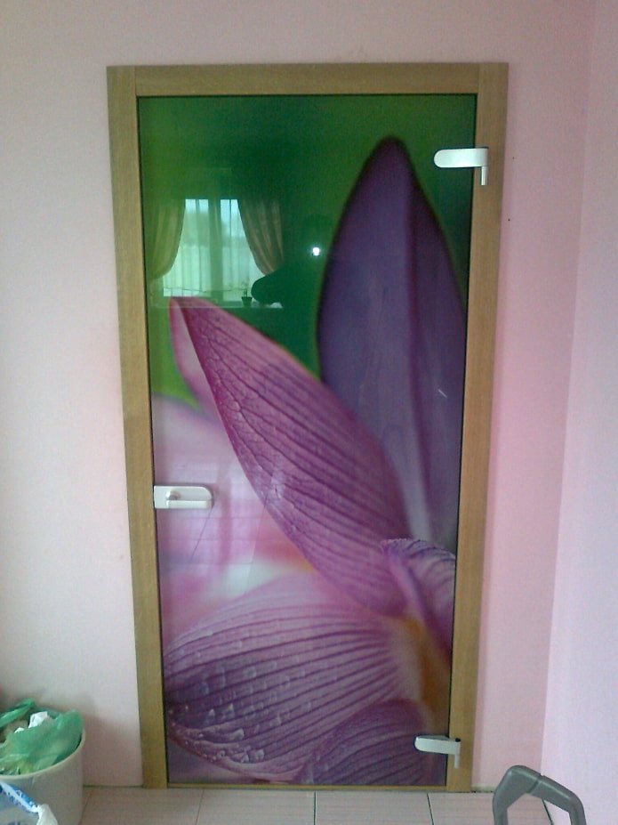 Puertas de cristal con impresión fotográfica en el interior