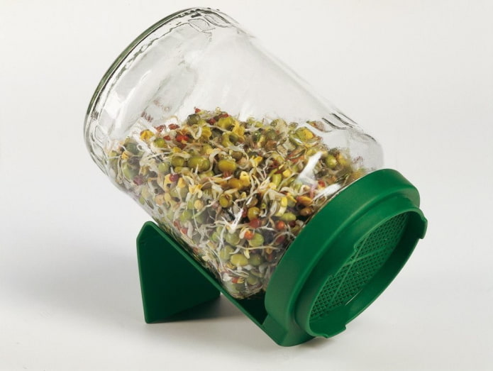 frasco para germinación