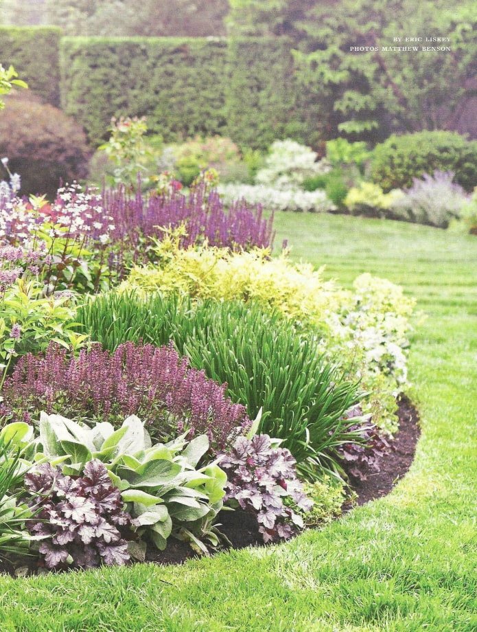 plantas bajas para un borde mixto