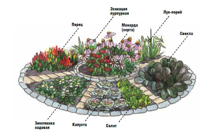 jardinera decorativa con remolachas