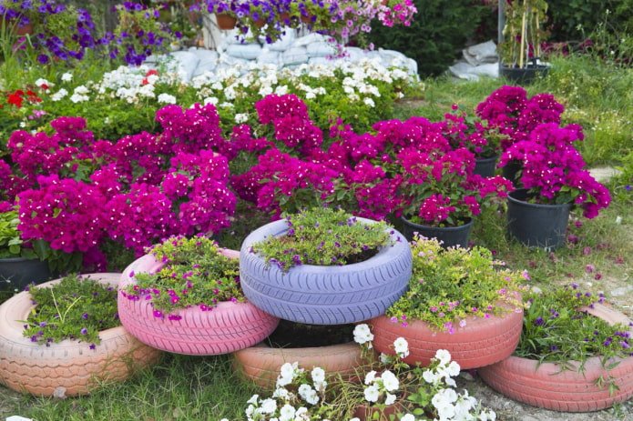 neumáticos de colores en el jardín