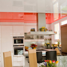 Variantes de diseño de techos tensados en la cocina-17