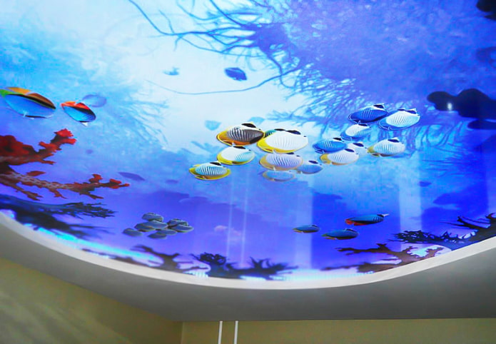 techo con impresión fotográfica 3D que imita un acuario