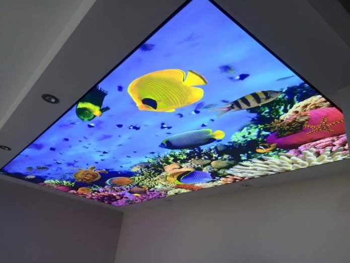 Techo con impresión fotográfica 3D que imita un acuario