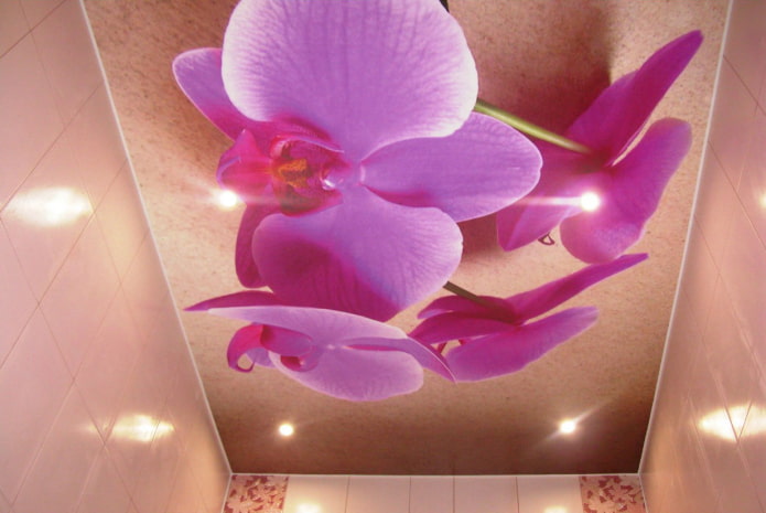 techo con imagen de orquídeas