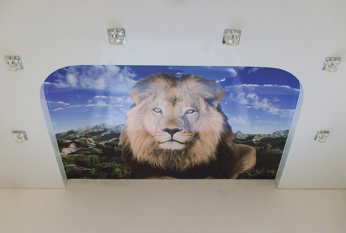 techo con un león