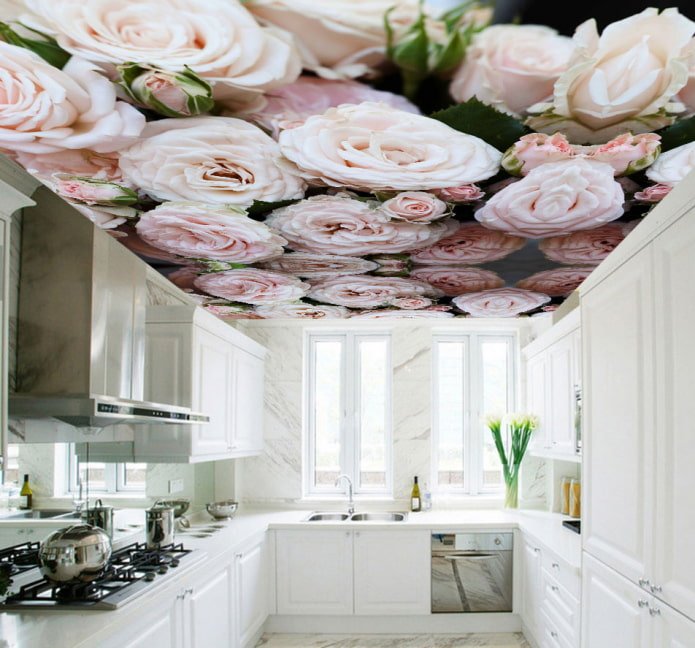 Techo con imagen de flores en la cocina