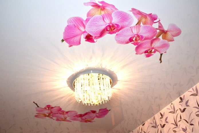 lienzo tensado con la imagen de una orquídea