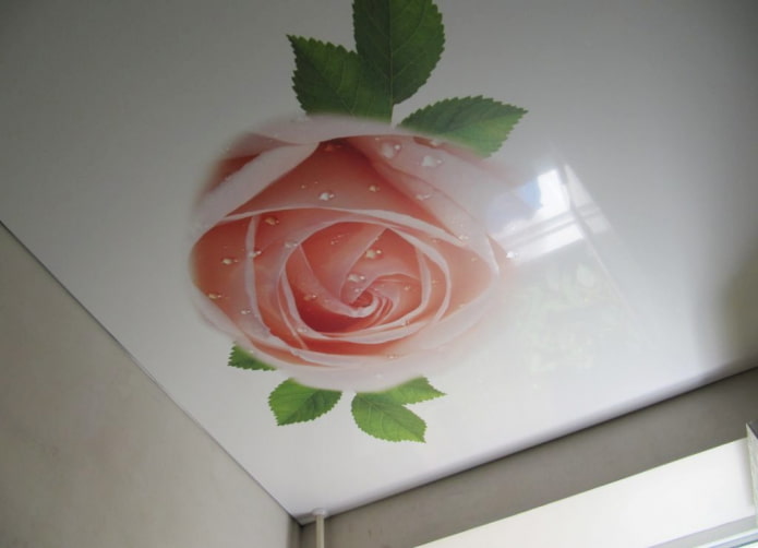tela elástica con estampado fotográfico en forma de rosa