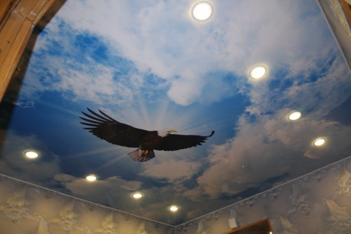 lienzo con imagen de pájaros