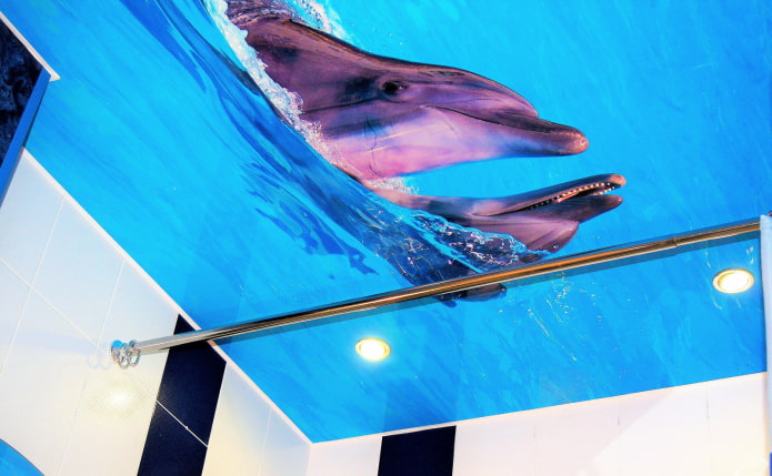 Imagen de techo con delfines en el baño