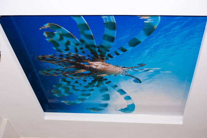 lienzo con impresión fotográfica del mundo submarino