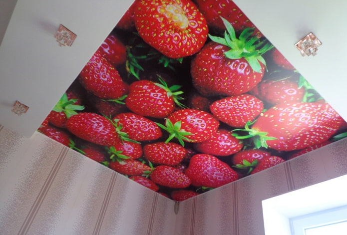 Estructura de tensión de dos niveles con impresión fotográfica