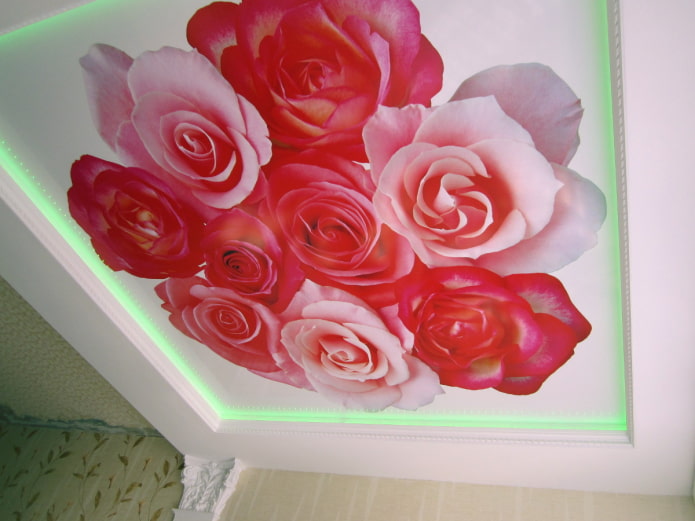 tela elástica con estampado fotográfico en forma de rosa