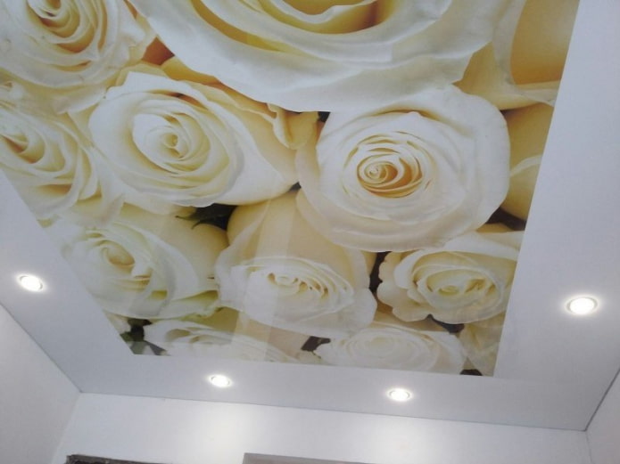 tela elástica con estampado fotográfico en forma de rosa