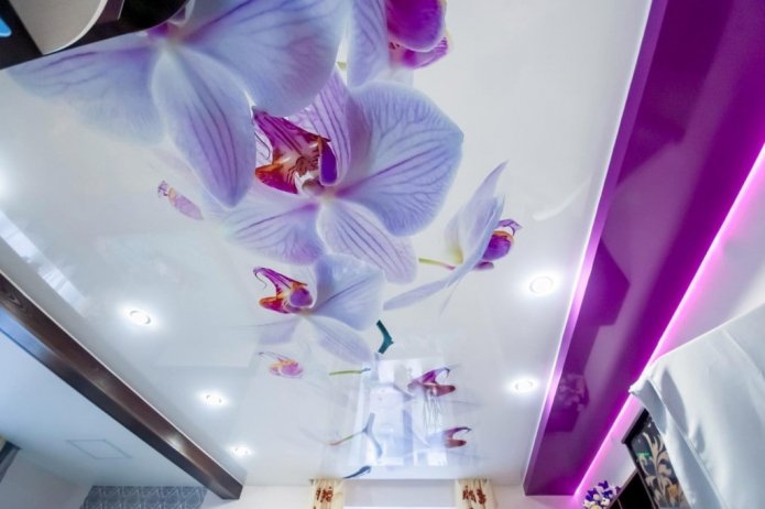 impresión fotográfica de flores lilas en el techo