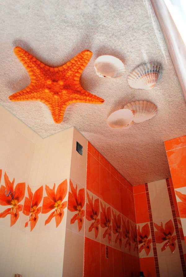 Imagen de techo con playa en el baño