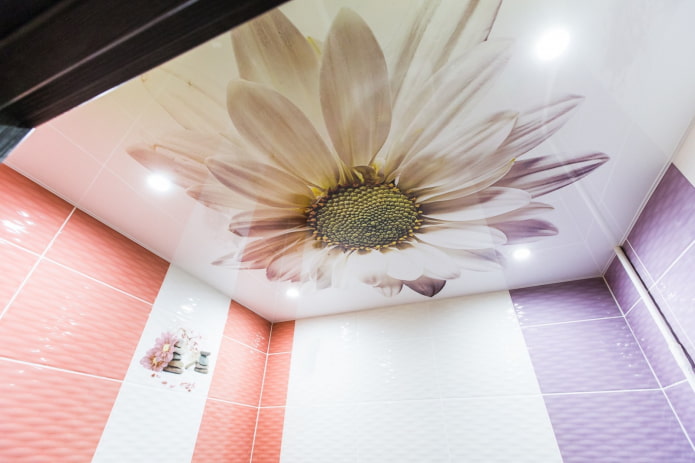 Techo con impresión fotográfica en el baño