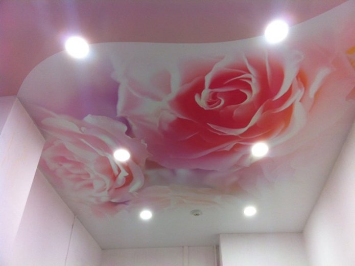 Estructura de techo rosa con impresión fotográfica