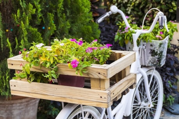 bicicleta como parterre
