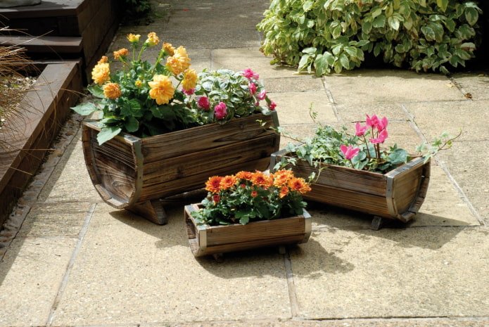 un parterre en un barril