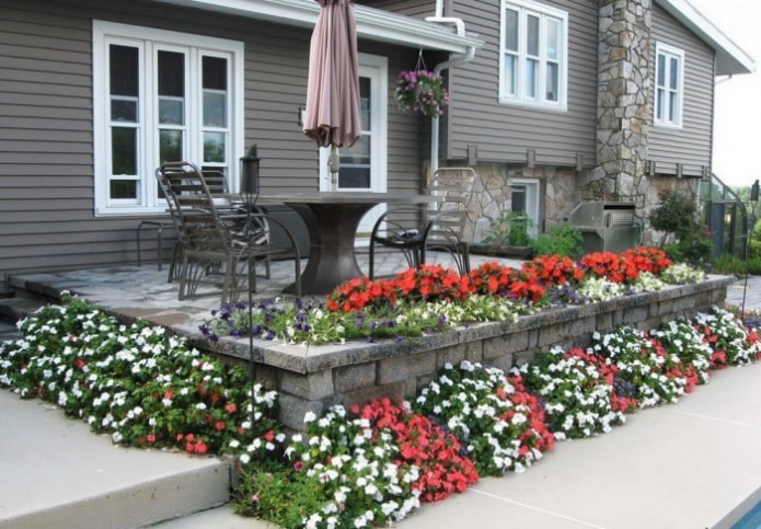 macizos de flores