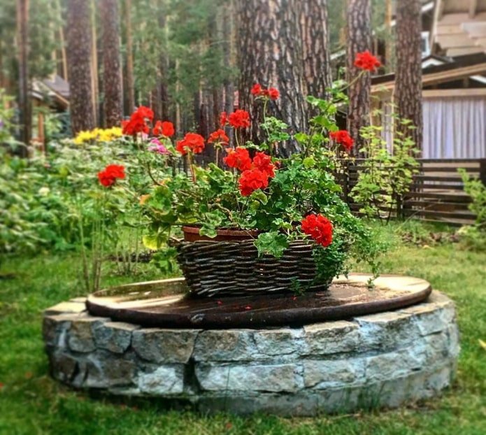 cesta con flores rojas en un tanque séptico