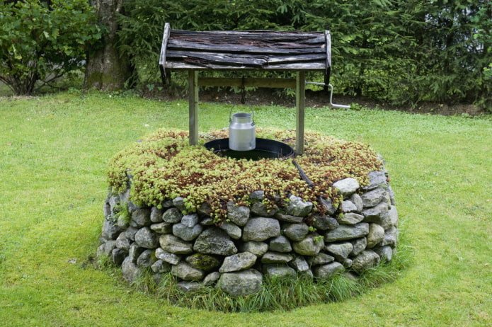 pozo de piedra en musgo