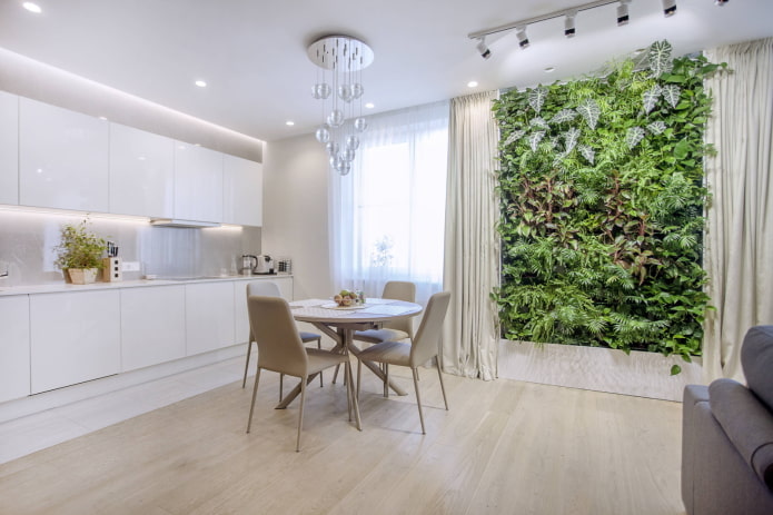 Iluminación para plantas