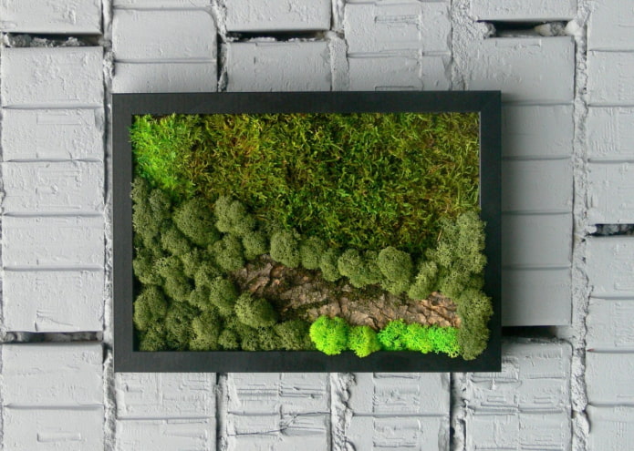 panel de musgo en la pared del interior