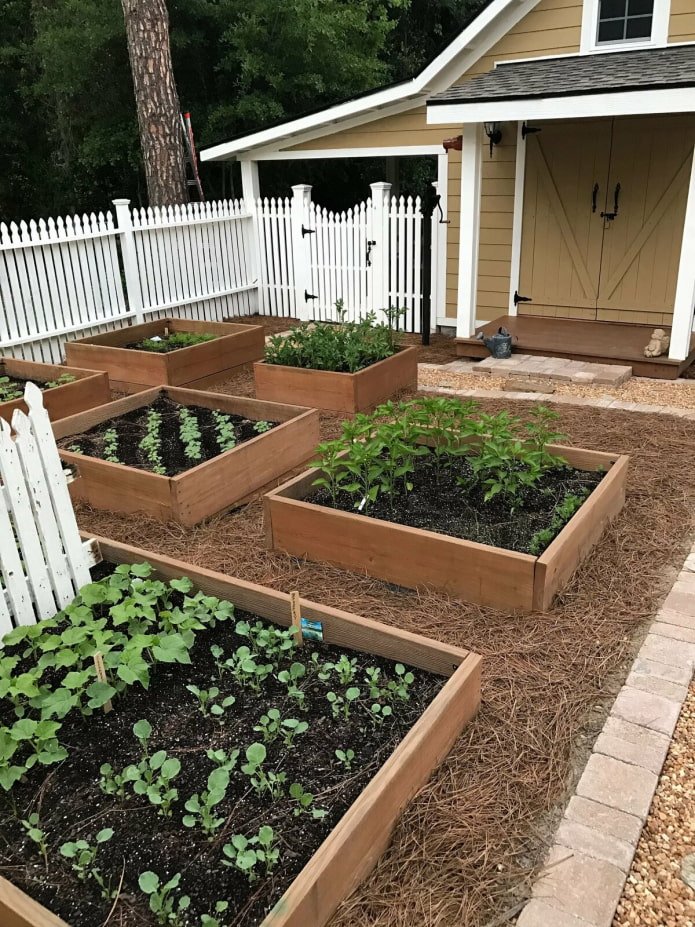 neat bed in the garden