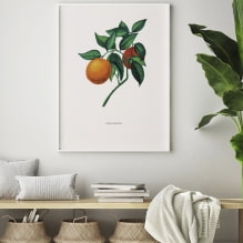 ¿Cómo decorar paredes con pósteres?-5
