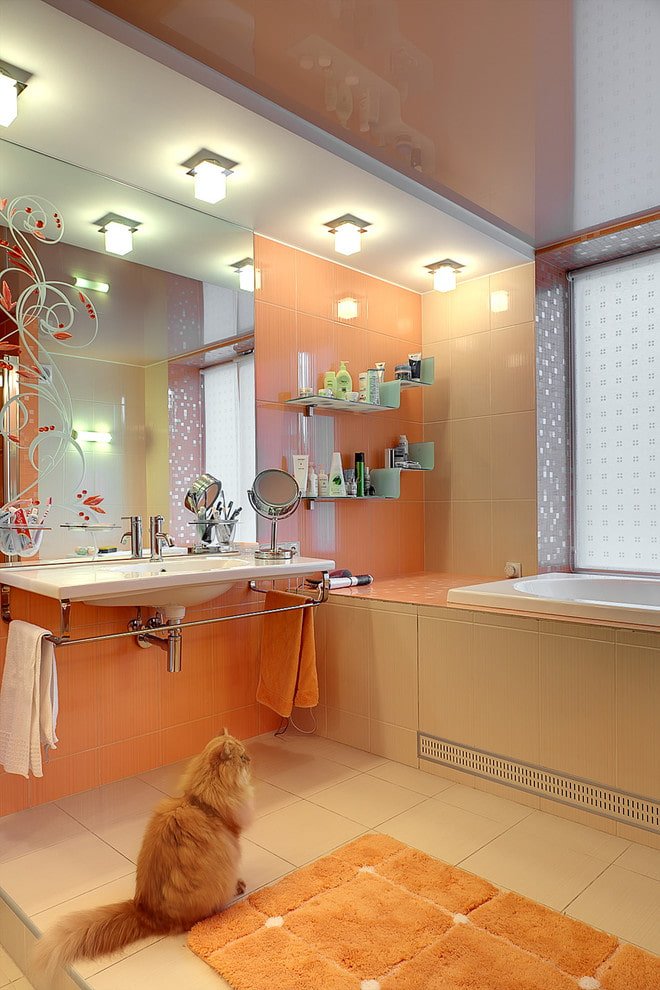 Techo bicolor en el interior del baño