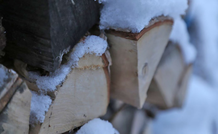 leña bajo la nieve