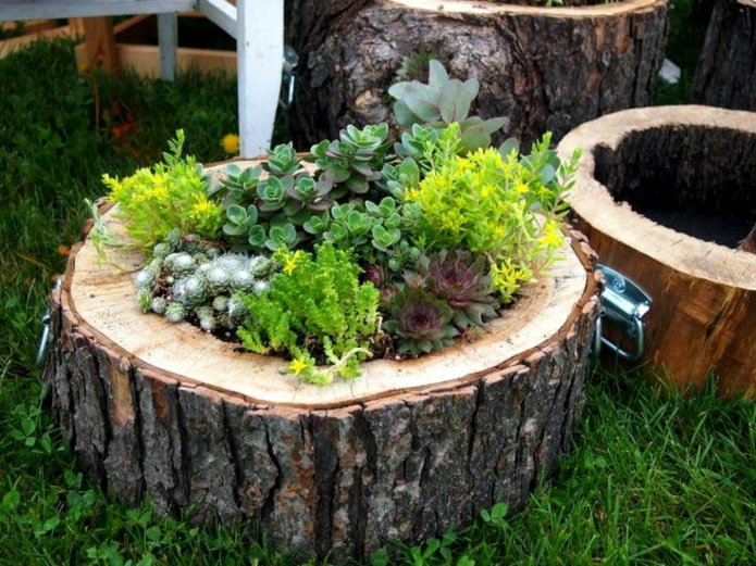  Macizo de flores a partir de un tocón de árbol