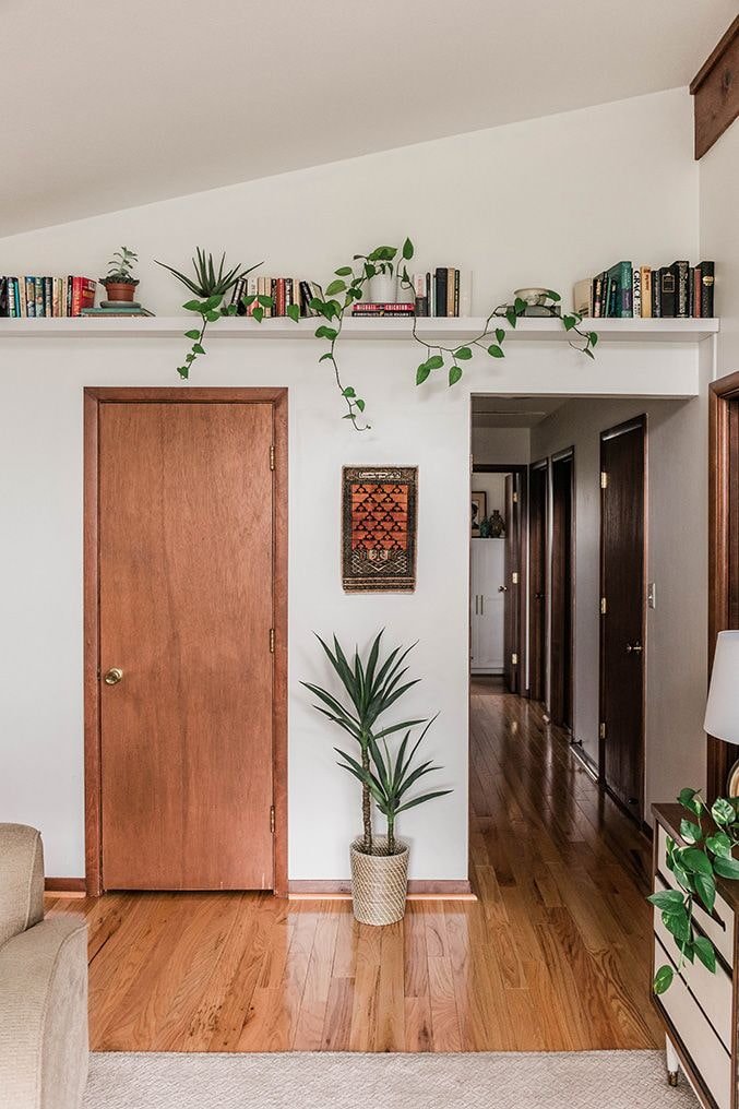 Plantas en un estante debajo del techo