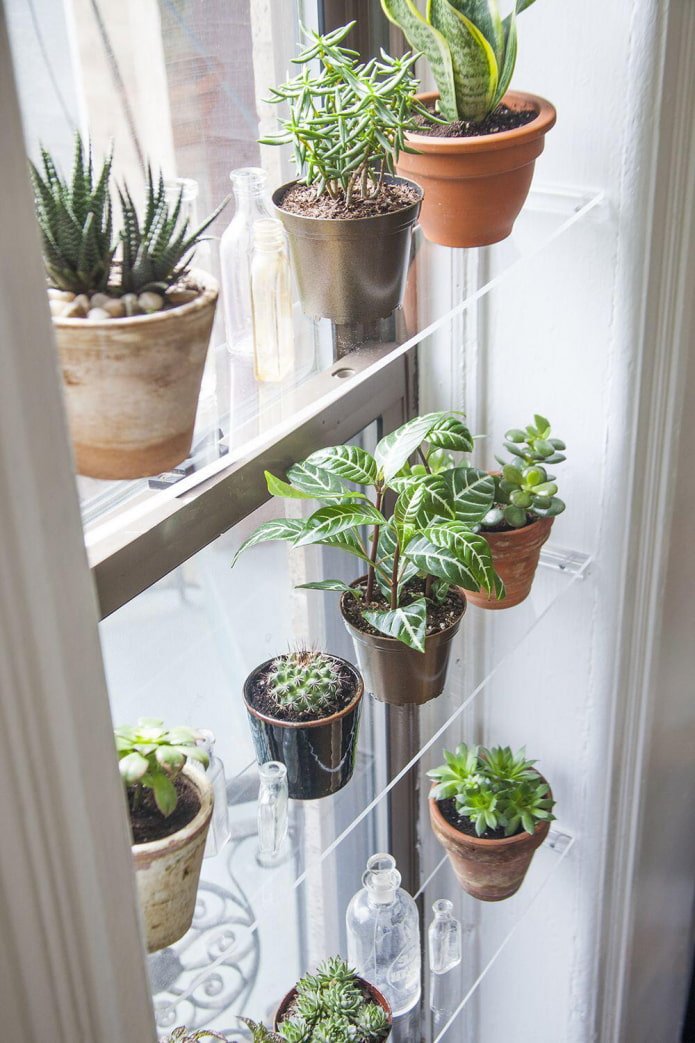 estantes de ventana para flores
