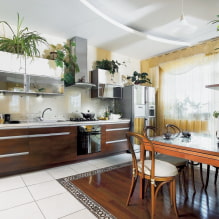 ¿Qué plantas se pueden usar en la cocina?-1